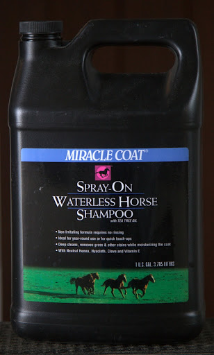 After vacuuming each horse, if the horse hasn't been showered, an all-natural waterless equine shampoo is applied to the coat.