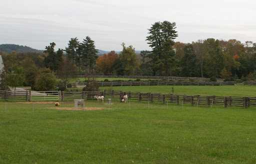 The donkeys were out enjoying the morning.