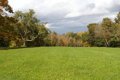 The view across a hay field