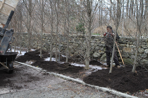 And if all of this weren't enough, by mulching, you are adding humus to the soil, enriching it beyond measure!