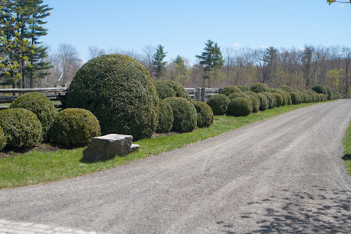 I brought this from my home on Turkey Hill, where it sat at the end of the driveway. With its step, it's a perfect stone for a mounting block, and I'm fairly sure that's what it was used for in the early 1800s, which is when that house was built. That's what I use it for now.