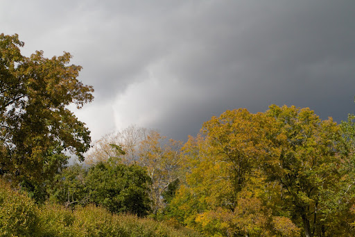 Rather ominous looking