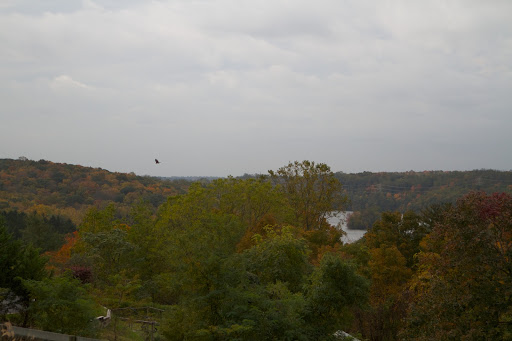 There are wonderful views of the Kensico Reservoir.