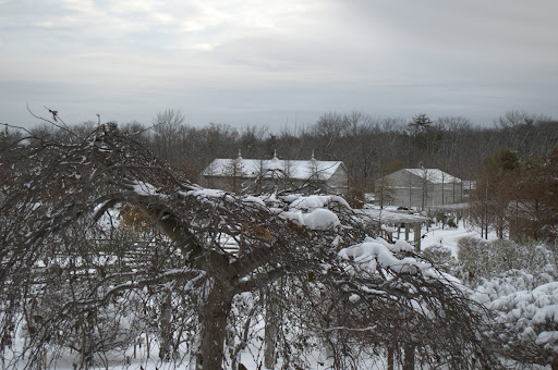 Looking towards the equipment barn