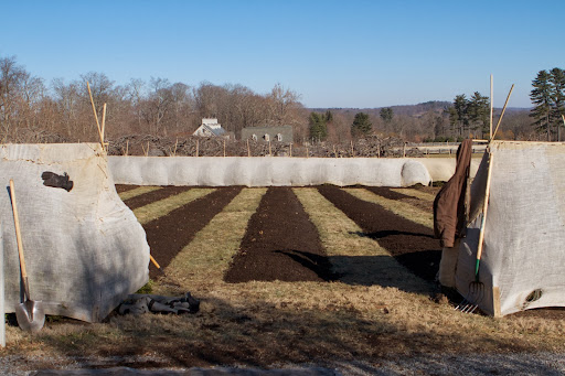 The beds look nice and neat and the compost protects them from frost heave. Plus, the rich nutrients of the compost and the fertilizer beneath will absorb into the soil benefiting the plants below.