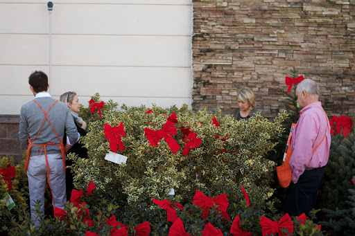 Kevin and I thought the garden center at The Home Depot Vauxhall had great potted evergreens. We were quite impressed!