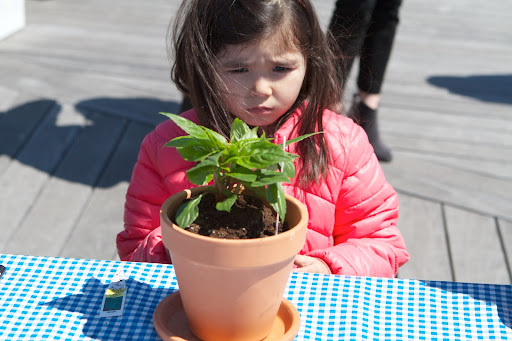 Summer Lee, daughter of Administrative Manager, Soo Jee Lee contemplates decorating her pot with markers