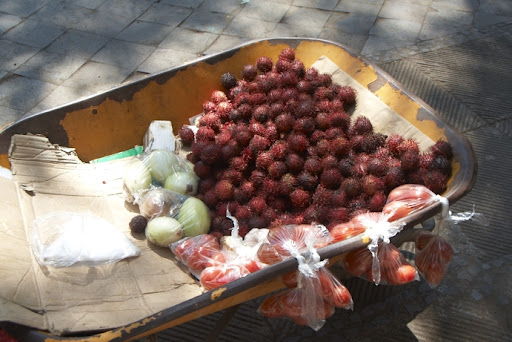 Mamon chino fruit,also known as rambutan, is native to Malaysia and Indonesia. You peel off the skin and eat the white, translucent flesh inside. But, you must spit out the seed inside because they can be poisonous.