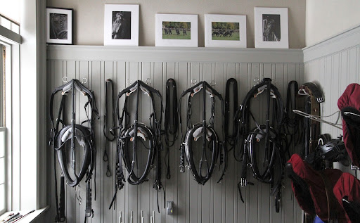 When driving, horses require special harnesses, which are kept very neatly in Betsy's office. They were purchased from Freedman Harness in Canada. http://www.freedmanharness.com