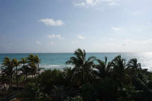 Waking up on Saturday morning, this was the splendid view from my room in the Soho Beach House on Miami Beach.