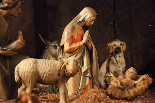 Kathleen Kent - A new dog in the creche at Saint Patrick's Cathedral