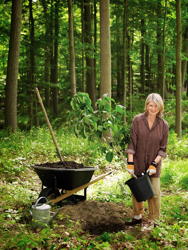 I’m out in my garden every opportunity I have, and it is always very physical. I push wheelbarrows full of dirt, I dig holes to plant, I cultivate on my hands and knees, I bend over and squat down—all of that is very good for you.