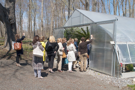 The ladies loved this plastic greenhouse filled with my tropical plant collection. All of my favorites - cycads, staghorn ferns, agaves, Brazillian skyflower - have spent the winter here.
