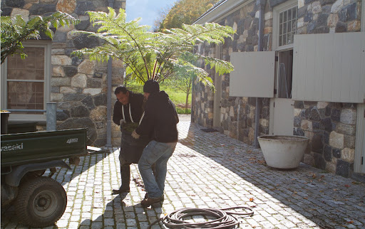 Gyurme and Wilmer loaded the fern into the back of the Kawasaki.