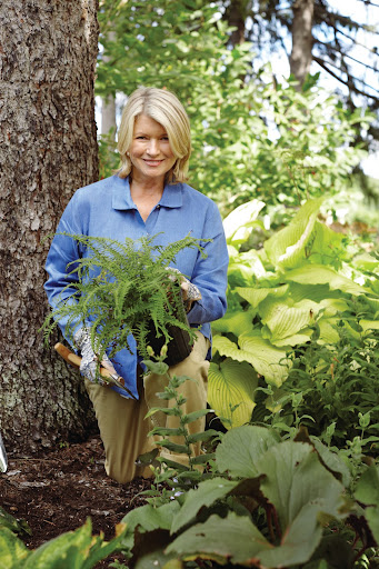Read about how my shade garden at Bedford came to be. Here, I’m holding a Victoria Lady fern–one of the most unusual ferns in my garden.
