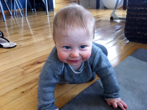 9-month old Cole