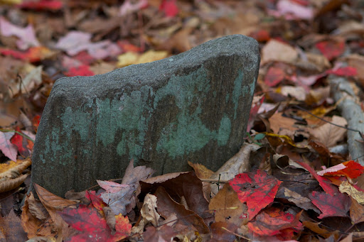 A broken footstone covered with blue-green lichen