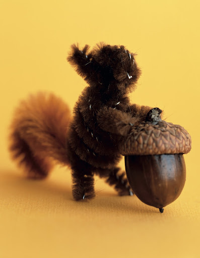 Pipe Cleaner Squirrel: This fun-filled book makes good use of many household objects and common materials. Our pipe cleaner pals project teaches how to create monkeys, squirrels, chameleons, and tigers with colored pipe cleaners and a few dabs of glue.