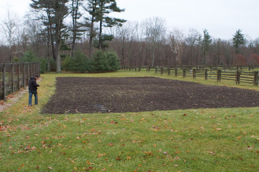 I wanted the garlic planted in the bed next to the vegetable garden adjacent to the chicken coops.
