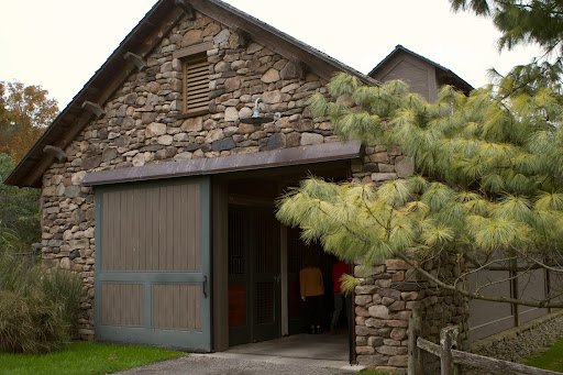 Entering the barn, one might expect to see statuesque horses.