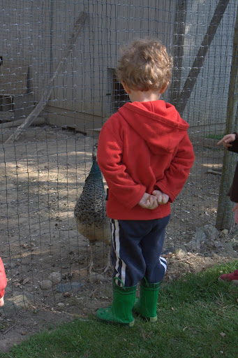 The kids' programs at Rainbeau Ridge provide a unique experience for children to explore and appreciate and make connections to nature through hands-on exploration on the farm, art projects, and in the kitchen.