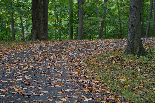 The carriage road makes a turn at this drop off.