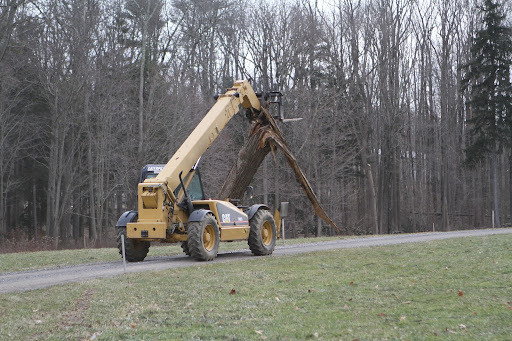 This unwanted tree trunk was taken to the pile of wood designated for the tub grinder.