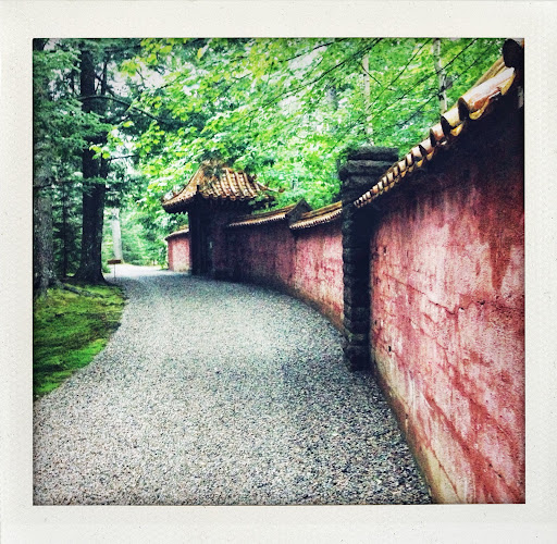 This is the pink stucco wall surrounding the Rockefeller flower garden, built in the 1920’s and topped with Chinese tiles shipped from Peking.