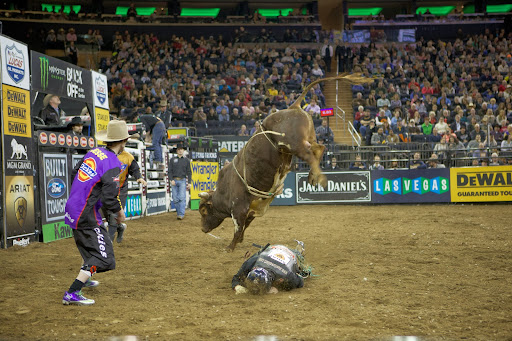 Those first 20 bull riders had turned their $1,000 into millions. PBR is owned today by 44 cowboys and Spire Capital.