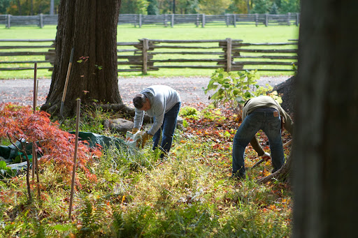 And the next hole was dug. You can see what I was talking about with the foliage of the Japanese maple. This one is changing to a lovely shade of red.