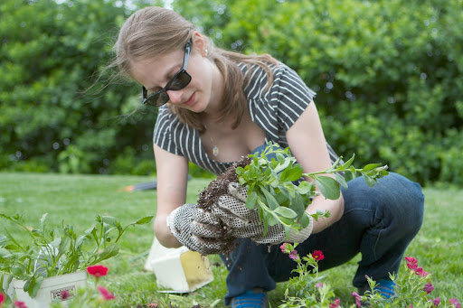 Last spring, employees from my company volunteered on planting day in the section of the park nearest our offices.