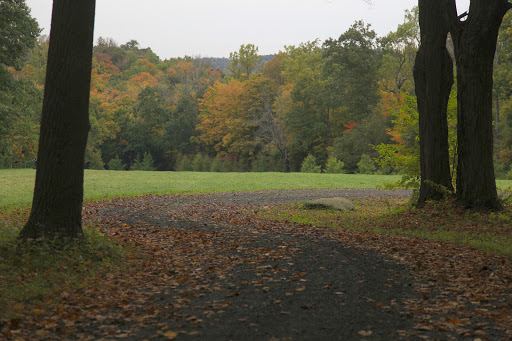 Emerging from the woods, approaching one of the hay fields