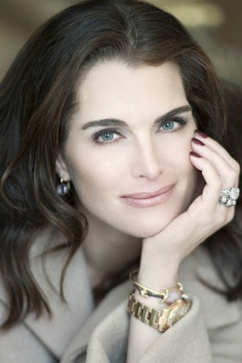 Brooke Shields is another ardent supporter of the park. She is donating a sailing cruise along the Hudson River. https://www.charitybuzz.com/catalog_items/511003