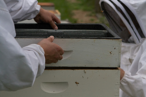 Next, the top feeder is put into position and will soon be filled with sugar syrup. At this time of year, it's a strong solution of 5-parts sugar to 4-parts water. The syrup will be consumed by the bees and converted into honey for their winter energy supply.