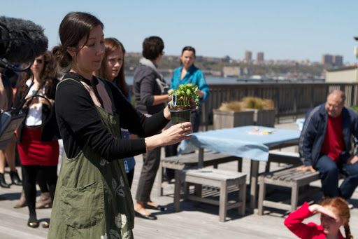 Senior Gardening Editor, Melissa Ozawa shows the kids how to remove a basil plant from it’s plastic container