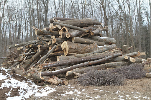 The pile on the left, where the rotten hickory was placed, will eventually be ground up, when we hire the giant tub grinder, and will be turned into compost for the farm. These logs could be split for firewood, but I already have plenty.