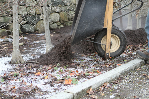 If you don't have a compost pile, there are several types of mulch from which to choose.