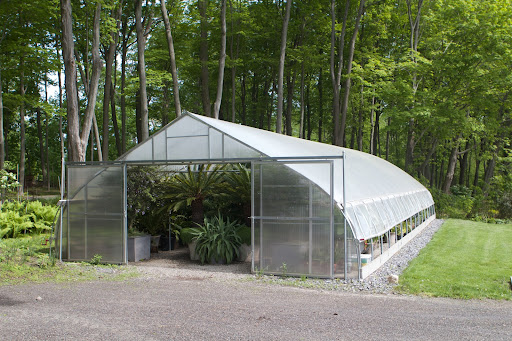 This is the plastic greenhouse where many of my tropical plants are stored during cold weather. They actually spend about seven months of the year in this heated shelter.