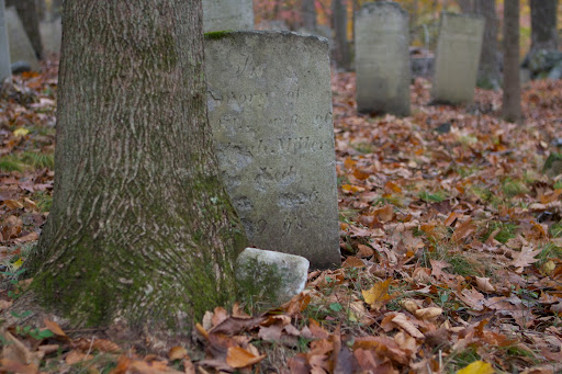 This mature tree decided to grow right on top of this grave.