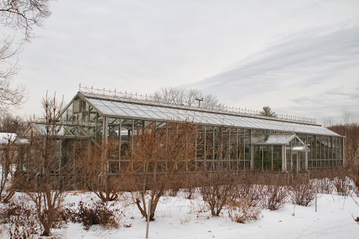 On cold and bleak days, I love visiting my greenhouses. This is the main greenhouse building, which I had built when I bought this farm.