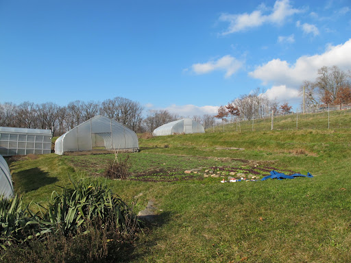 These two smaller greenhouses move along on tracks. When one crop is finished, the house is pulled over a new plot. This way, the plots are not exhausted from overuse.