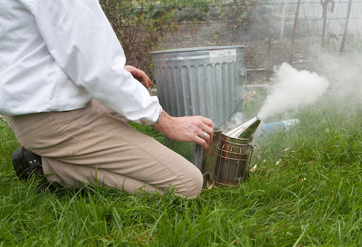 The smoker has a bellows system to issue the smoke. It was discovered in ancient times that smoke works to calm the bees, making it easier for the beekeeper to enter the hive. Smoke masks alarm pheromones released by guard bees when the hive is opened.