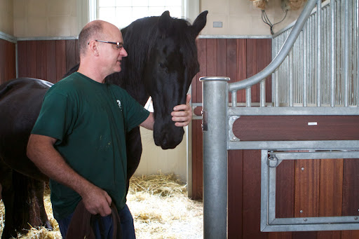 Brian starts off gently with each horse. Here he is saying hello to Rinze. Being a lay equine dentist requires excellent horse skills. This is no easy task.