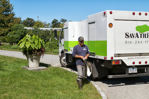 This is Danny Broglino, a tree care foreman and specialist from SavATree. Danny has been caring for my trees ever since I bought the property.