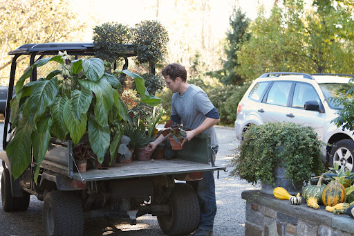 As he does for whenever I entertain, Ryan McCallister, my gardener, chooses the nicest houseplant specimens from the greenhouse to decorate for the party.