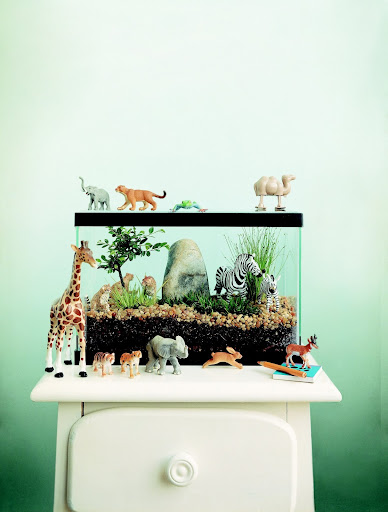 Safari Terrarium: This safari terrarium provides a close-up look at exotic wildlife right at home. The environment is completely enclosed; once you’ve achieved the right level of moisture, it will almost take care of itself. Good sources for the materials and animals include museum and zoo gift shops, hobby stores, garden centers, and online retailers.