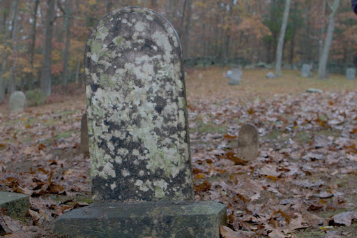 Lichen is a common problem. Although it doesn't appear to damage the stone, it can certainly make reading inscriptions very difficult.