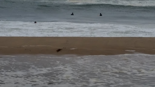 And yes they were! About twenty intrepid guys were in the cold surf waiting for those perfect