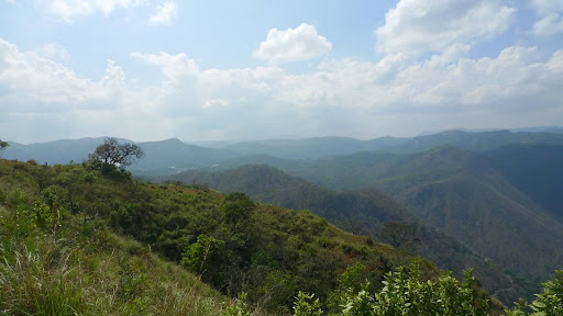 Our day-long trek that day was a hike up to the border between Kerala and the neighboring state of Tamil Nadu. The view over the park was incredible.