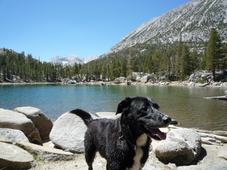 Before lunch the next day, I took Ben’s panting dog, Tucker, up the road to poke around some nearby lakes. Tucker is the most enthusiastic fetch player I’ve ever met. Here he is at Serene Lake.